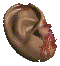 File:Masticator's ear.png